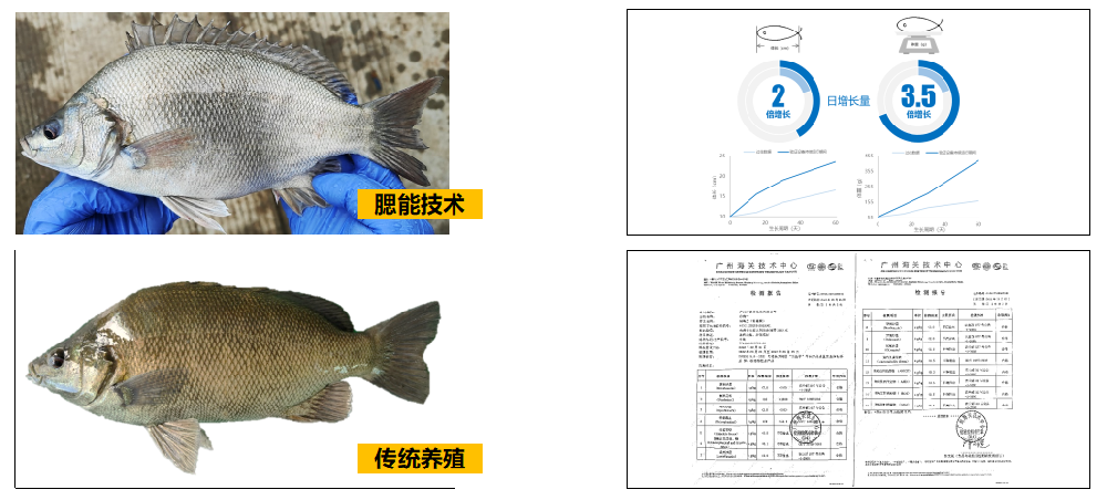 养殖成品改善示例