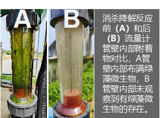 水质改善示例
