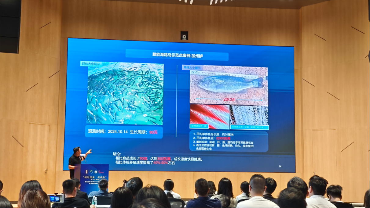 企业微信截图_20241030160921.png